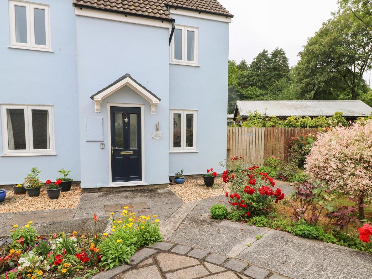 Mews Cottage Carmarthen Ngoại thất bức ảnh