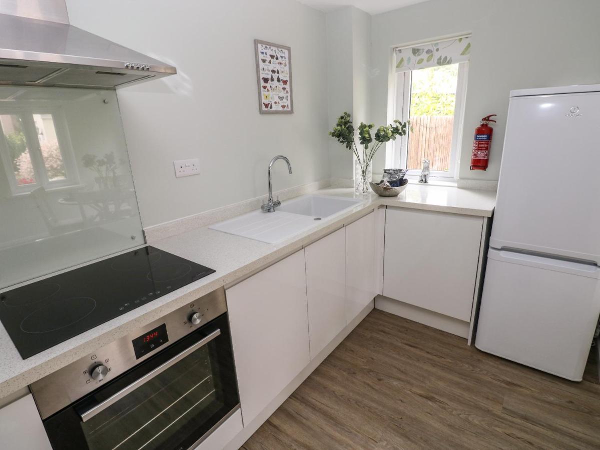 Mews Cottage Carmarthen Ngoại thất bức ảnh