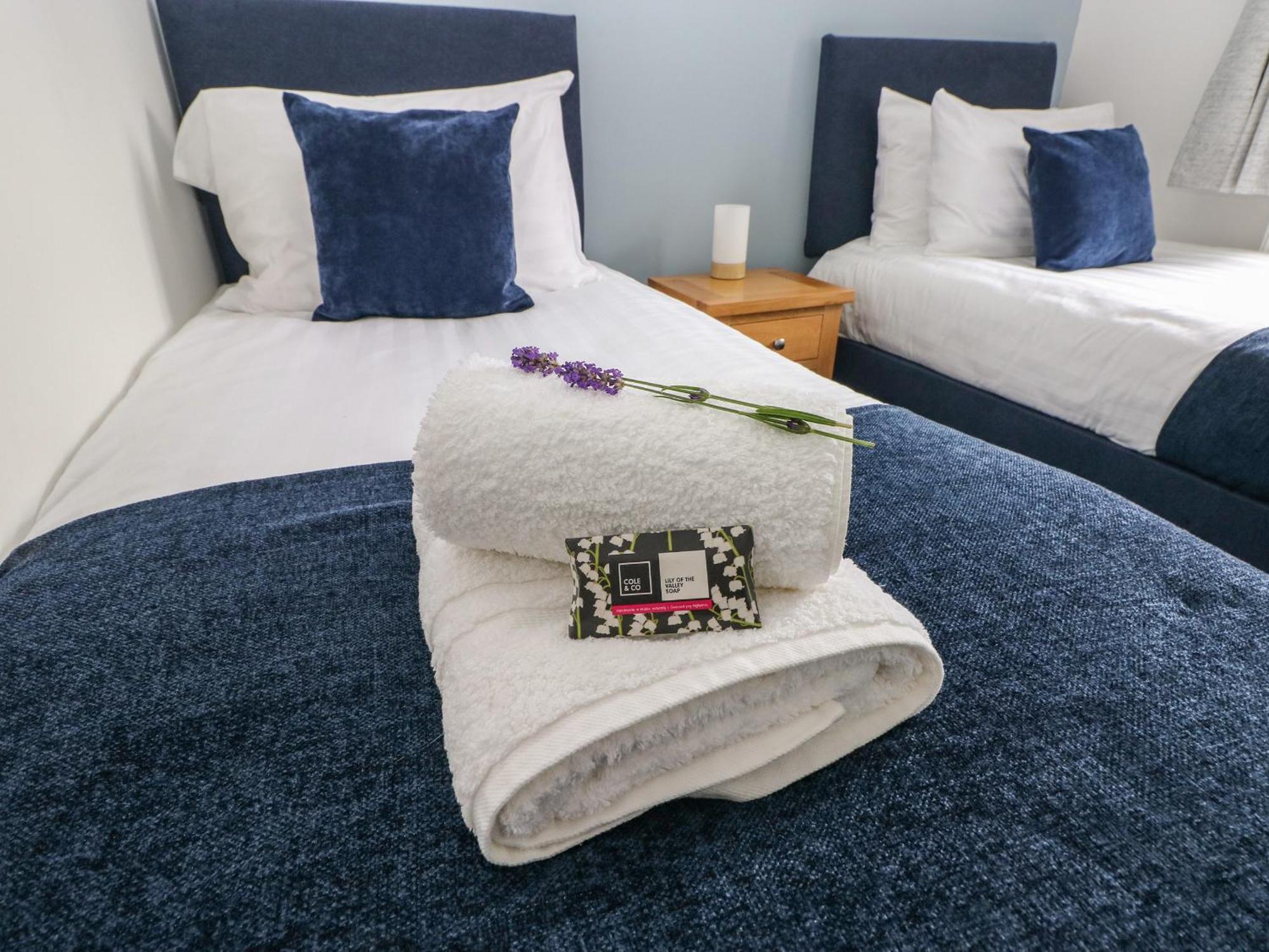 Mews Cottage Carmarthen Ngoại thất bức ảnh
